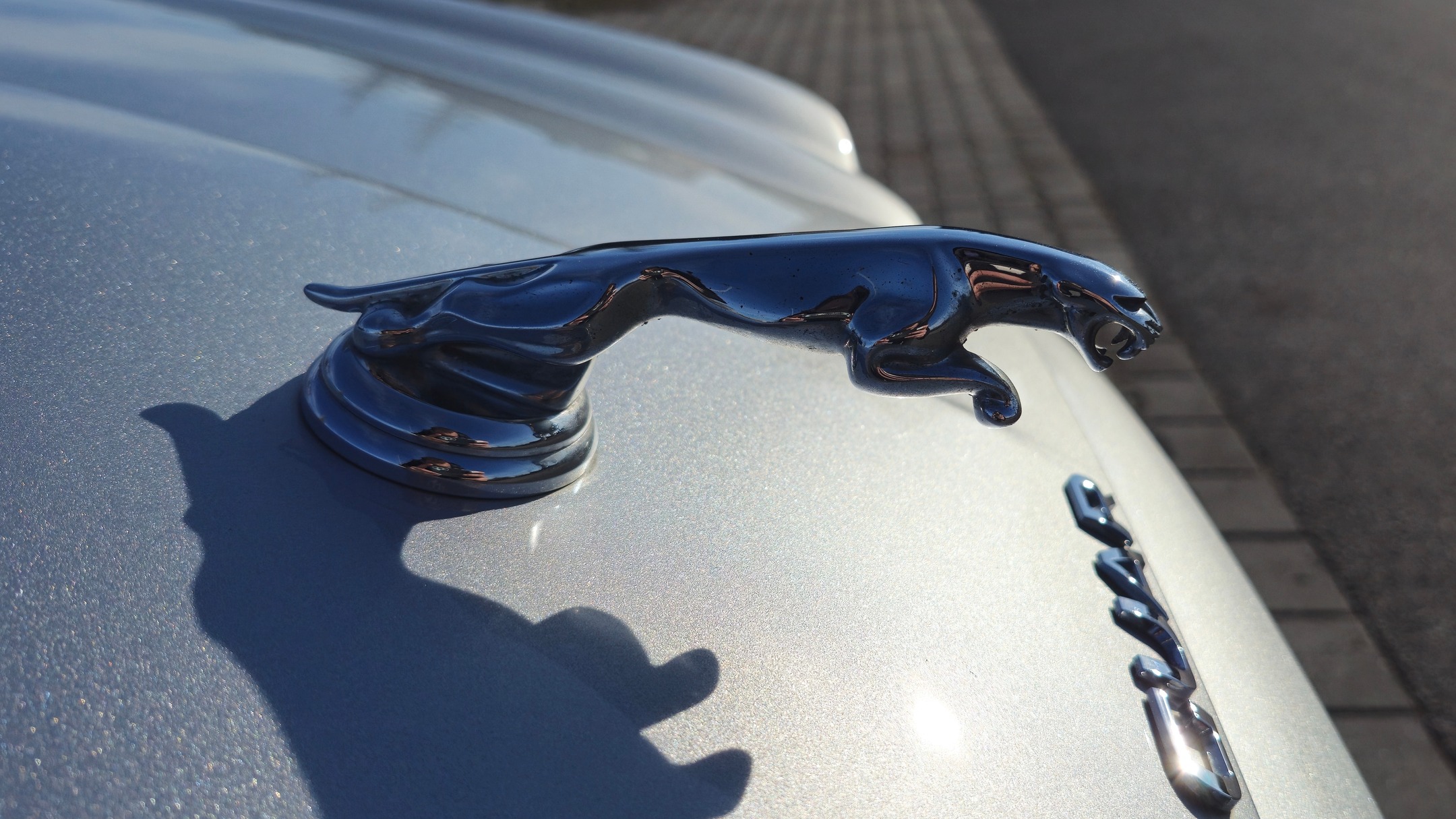 Jaguar po powłoce ceramicznej w StudioCuda — Częstochowa